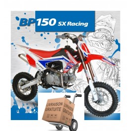 http://gmrmotoracing.com/4399-thickbox_default/pit-bike-bastos-bp-150-sx-racing.jpg